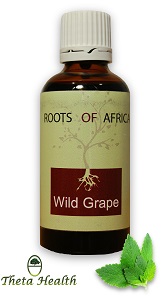 Wild Grape: Roots of Africa Wild Grape: Roots of Africa
