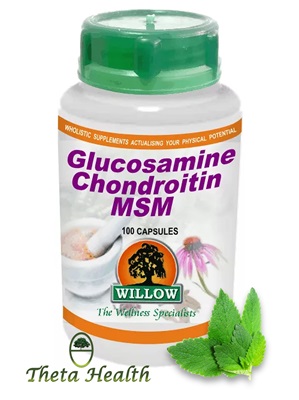 Glucosamine Chondroitin MSM: Willow Glucosamine Chondroitin MSM: Willow