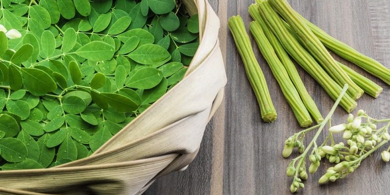 Benefits of Moringa Benefits of Moringa
