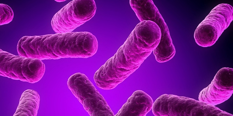 How To Get Good Bacteria In Your Gut How To Get Good Bacteria In Your Gut