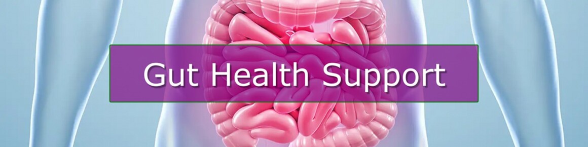Gut Health Supplements