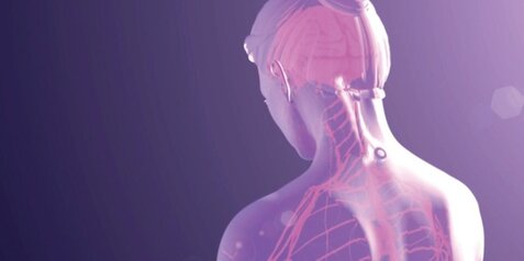 How Do LifeWave Patches Work