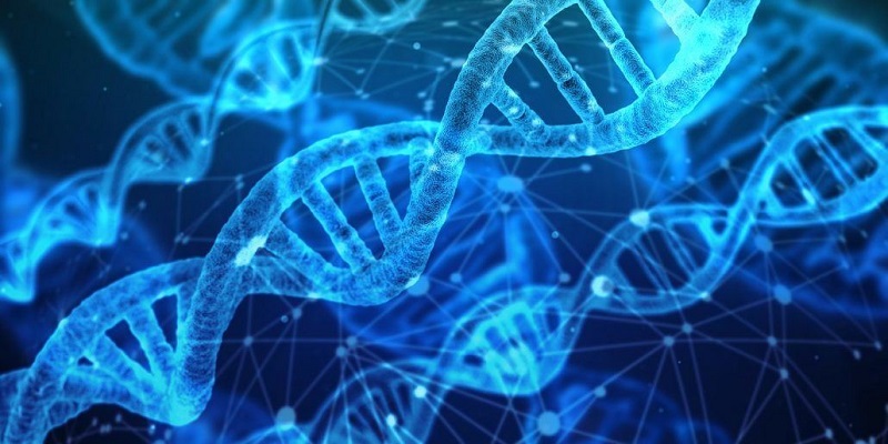 Scientific Human Growth Hormone Facts