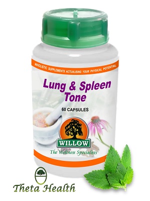 Lung & Spleen Tone: Willow Lung & Spleen Tone: Willow